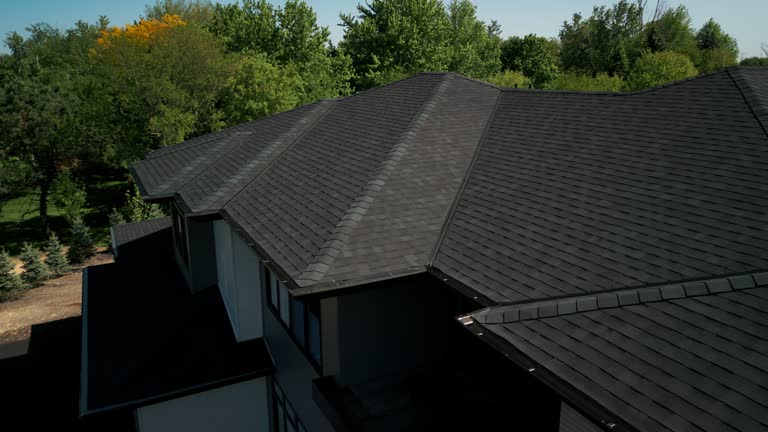 Best Roof Moss and Algae Removal  in Scottsburg, IN